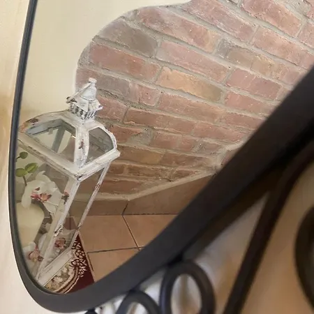 Alexander Nocleg ze śniadaniem