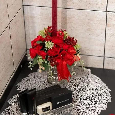 Alexander Nocleg ze śniadaniem